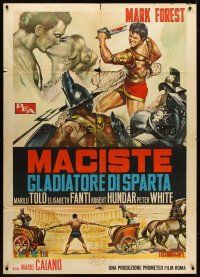 7k222 TERROR OF ROME AGAINST THE SON OF HERCULES Italian 1p '64 Maciste, gladiatore di Sparta!