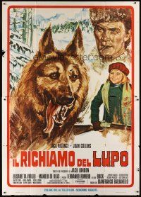 7k060 GREAT ADVENTURE Italian 2p '75 art of Jack Palance & wolf, Jack London's Call of the Wild!