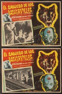 7m583 HOUND OF THE BASKERVILLES 3 Mexican LCs '59 Peter Cushing, Hammer horror, cool border art!