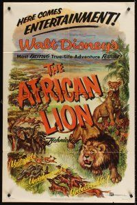 7r021 AFRICAN LION 1sh '55 Walt Disney jungle safari documentary, cool animal artwork!