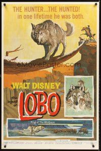 7r524 LEGEND OF LOBO 1sh '63 Walt Disney, King of the Wolfpack, cool artwork of wolf being hunted!