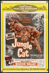 7r962 JUNGLE CAT/BEAVER VALLEY 1sh '64 Jungle Cat & Beaver Valley, cool art!
