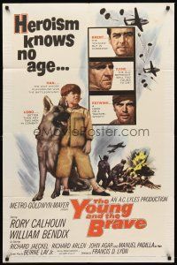 7r993 YOUNG & THE BRAVE 1sh '63 Rory Calhoun, William Bendix, art of heroic boy & German Shepherd!
