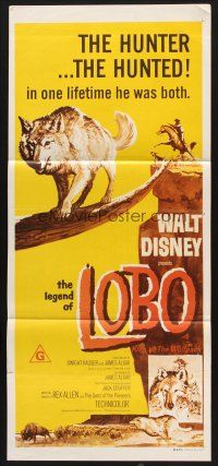 7s817 LEGEND OF LOBO Aust daybill R1970s Walt Disney, King of the Wolfpack, art of hunted wolf!