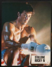 7s481 ROCKY IV 6 French LCs '85 great images of heavyweight champ Sylvester Stallone!