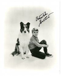 7t672 JON PROVOST signed 8x10 REPRO still '80s seated portrait as Timmy with Lassie!