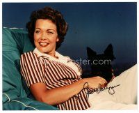 7t649 JANE WYMAN signed color 8x10 REPRO still '80s in chair with her black Scottish Terrier!