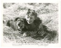7w291 DEEP VALLEY 8x10 still '47 great image of pretty Ida Lupino in grass with Terrier dog!