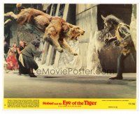 7w164 SINBAD & THE EYE OF THE TIGER 8x10 mini LC '77 Ray Harryhausen, great special effects scene!