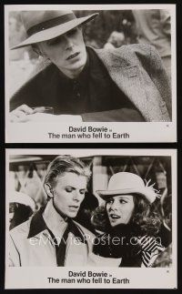 7x954 MAN WHO FELL TO EARTH 2 8x10 stills '76 Nicolas Roeg, David Bowie in hat, Candy Clark!