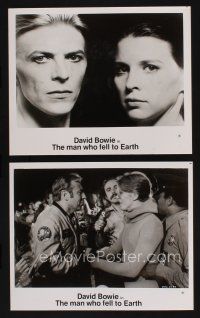 7x953 MAN WHO FELL TO EARTH 2 8x10 stills '76 Nicolas Roeg, David Bowie & Candy Clark close up!