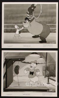 7x631 CANVAS BACK DUCK 6 8x10 stills '53 Walt Disney, Donald w/Huey, Dewey & Louie!