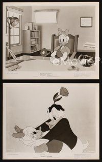 7x822 DONALD'S DILEMMA 3 8x10 stills '47 Walt Disney, cool artwork images of Donald & Daisy Duck!
