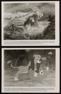7x642 FOX & THE HOUND 6 8x10 stills '81 friends who didn't know they were supposed to be enemies!