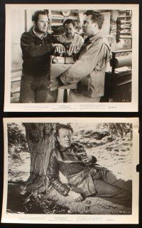7x184 HITCH-HIKER 10 8x10 stills '53 William Talman, Frank Lovejoy & Edmond O'Brien!