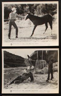 7x418 LION & THE HORSE 8 8x10 stills '52 images of Steve Cochran & Wildfire in the title role!