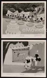7x857 PLUTO'S PARTY 3 8x10 stills '52 Disney, canine cartoon birthday adventure, Mickey Mouse!