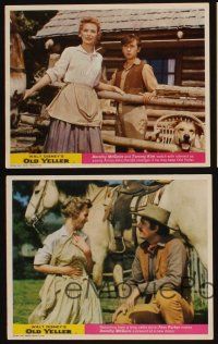 7x783 OLD YELLER 4 color English FOH LCs R67 Dorothy McGuire, Fess Parker, Disney's classic canine!