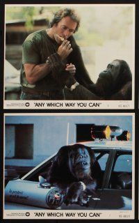 7x312 ANY WHICH WAY YOU CAN 8 8x10 mini LCs '80 Clint Eastwood, Sondra Locke & Clyde the orangutan!