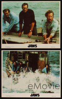 7x766 JAWS 4 8x10 mini LCs R79 Spielberg shark classic, Roy Scheider, Robert Shaw, Richard Dreyfuss