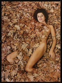 8a648 MIRROR OF VENUS commercial poster '60s totally nude woman covered in nothing but leaves!