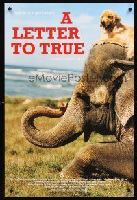 8a409 LETTER TO TRUE special 24x36 '04 cool image dog riding on top of baby elephant!