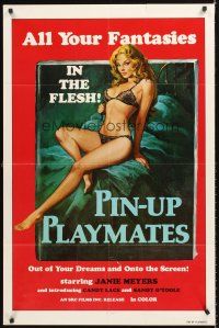 8c552 PIN-UP PLAYMATES 1sh '70s out of your dreams and onto the screen, sexy artwork!
