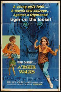 8c850 TIGER WALKS style B 1sh '64 Disney, Brian keith, Vera Miles, great tiger artwork!