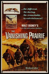 8c907 VANISHING PRAIRIE 1sh R68 Walt Disney True-Life Adventure, cool art of stampeding buffalo!