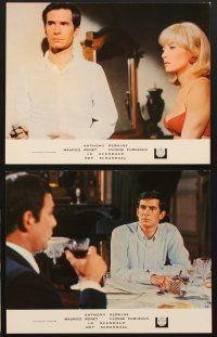 8d414 CHAMPAGNE MURDERS 16 French LCs '67 Chabrol's Le Scandale, Anthony Perkins is a psycho puppet!