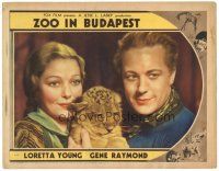 8f995 ZOO IN BUDAPEST LC '33 great close up of Loretta Young & Gene Raymond with cheetah cub!