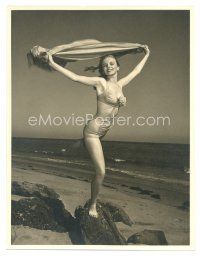 8g087 DEE TURNELL deluxe 10x13 still '40s posing on rock by ocean in two-piece sexy bathing suit!