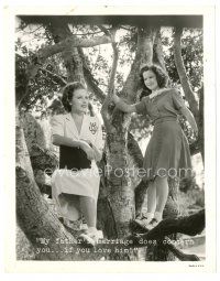 8j529 KATHLEEN 8x10 still '41 Shirley Temple in tree with Laraine Day!