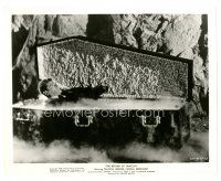 8j779 RETURN OF DRACULA 8x10 still '58 great image of vampire Francis Lederer emerging from coffin!