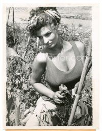 8j831 SCILLA GABEL 7x9 news photo '57 the sexy Italian beauty who had been Sophia Loren's stand-in!