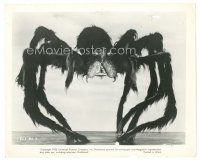 8j891 TARANTULA 8x10 still '55 great photographic close up of giant spider monster!
