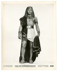 8j901 TEN COMMANDMENTS 8x10 still '56 Cecil B. DeMille, full-length Yul Brynner as Ramses!