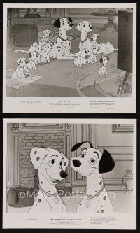 8k470 ONE HUNDRED & ONE DALMATIANS 2 8x10 stills '61 most classic Walt Disney canine cartoon!