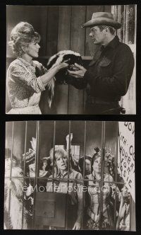 8k394 BALLAD OF JOSIE 2 8.25x10 stills '68 Doris Day gives a skunk to Peter Graves & behind bars!