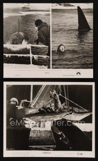 8k471 ORCA 2 8x10 stills '77 Richard Harris in water with killer whale!