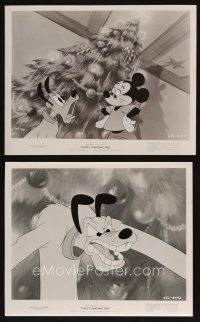 8k479 PLUTO'S CHRISTMAS TREE 2 8x10 stills '52 Disney, great cartoon image with Mickey Mouse!