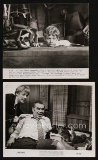 8k520 WILLARD 2 8x10 stills '71 Bruce Davison with pet rats, terrified Ernest Borgnine!