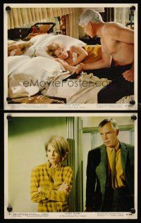 8k480 POINT BLANK 2 color 8x10 stills '67 cool images of Lee Marvin with sexy Angie Dickinson!