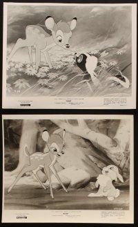 8k036 BAMBI 14 8x10 stills R57 Walt Disney cartoon deer classic, Thumper & Flower!