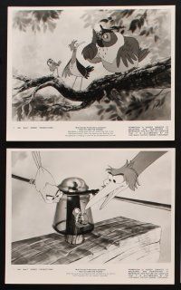 8k129 FOX & THE HOUND 7 8x10 stills '81 friends who didn't know they were supposed to be enemies!