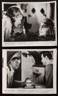 8k083 FROZEN DEAD 8 8x10 stills '66 Dana Andrews, includes cool image of severed head on table!