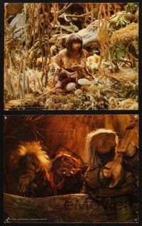 8k219 DARK CRYSTAL 5 color 8x10 stills '82 Jim Henson & Frank Oz, wild fantasy images!