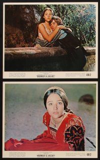 8k044 ROMEO & JULIET 12 color 8x10 stills '68 Franco Zeffirelli, Leonard Whiting & Olivia Hussey!