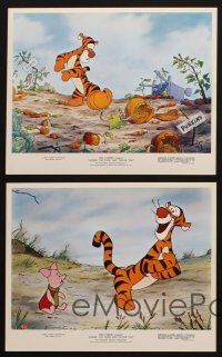 8k250 WINNIE THE POOH & TIGGER TOO 5 color 8x10 stills '74 Walt Disney, Christopher Robin, Rabbit