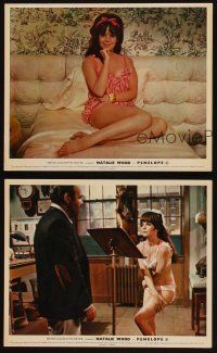 8k373 PENELOPE 3 color English FOH LCs '66 cool images of sexiest Natalie Wood!